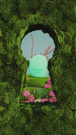 Ladda och spela upp video i Gallerivisaren, Garden Party Hair &amp; Body Mist
